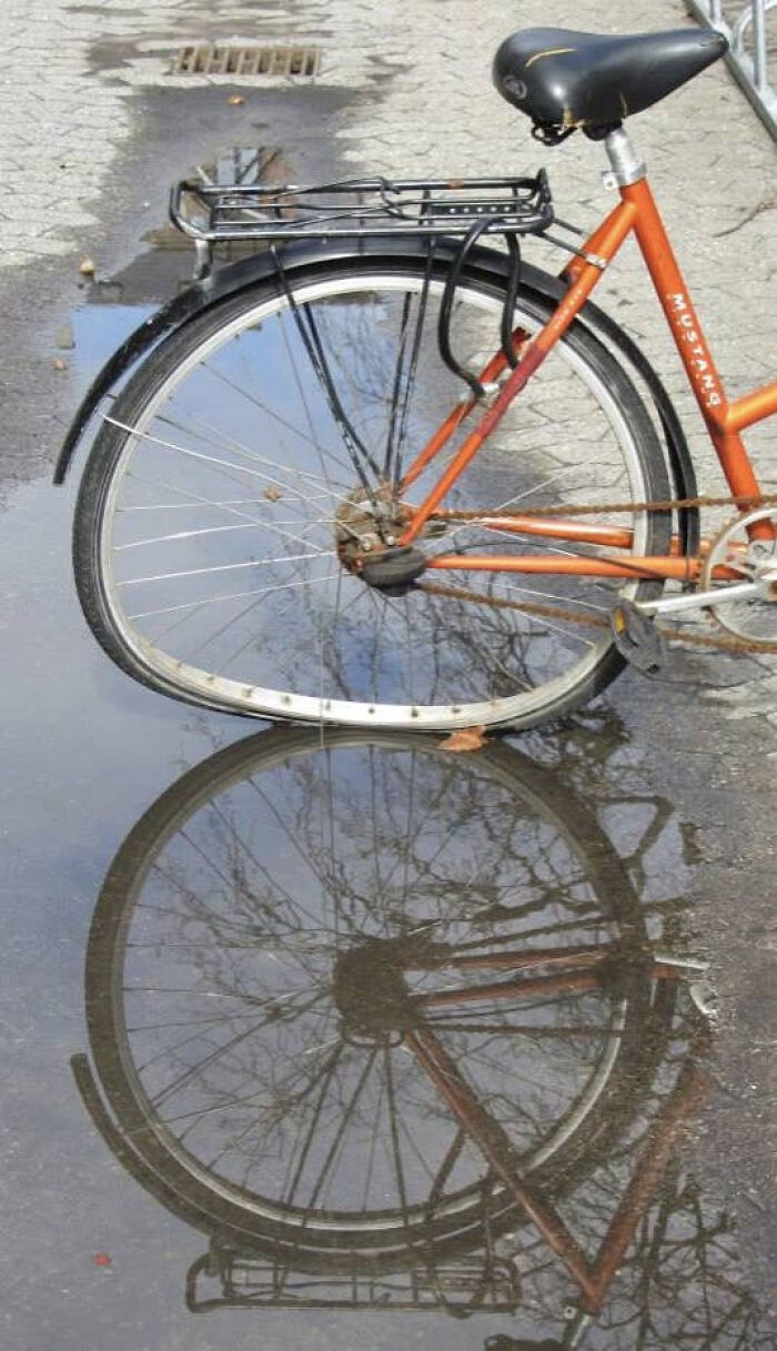 Bent bicycle wheel reflecting in a puddle glitch in the matrix