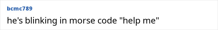 A comment from bcmc789 joking about morse code in response to the tall domme public humiliation story. A comment from bcmc789 joking about morse code in response to the tall domme public humiliation story.