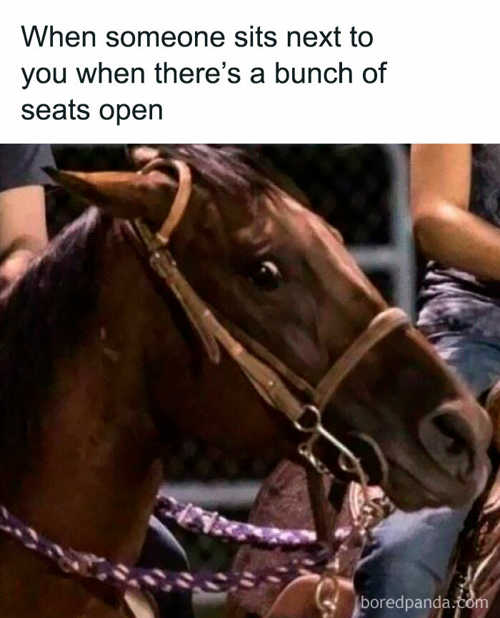 A horse with wide eyes showing relatable memes for introverts when someone sits nearby