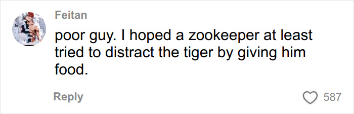 Fate Of Tiger That Mauled Man After He Entered Its Enclosure Finally Revealed