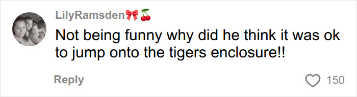 Fate Of Tiger That Mauled Man After He Entered Its Enclosure Finally Revealed