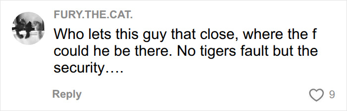 Fate Of Tiger That Mauled Man After He Entered Its Enclosure Finally Revealed