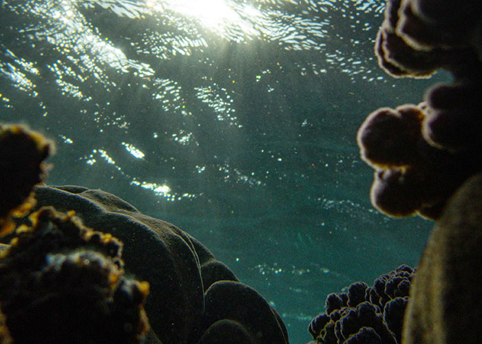 Sunlight filtering through deep ocean water near underwater rock formations. Sunlight filtering through deep ocean water near underwater rock formations.