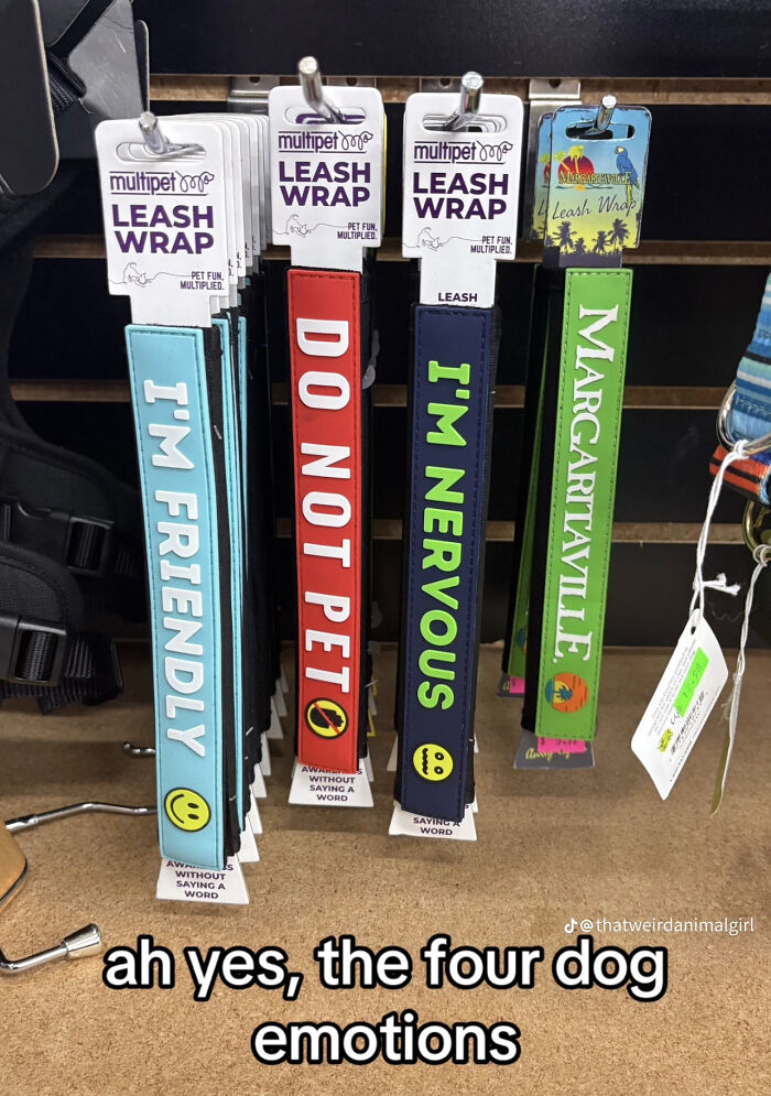 Dog leash wraps with funny emotions labels in cursed images