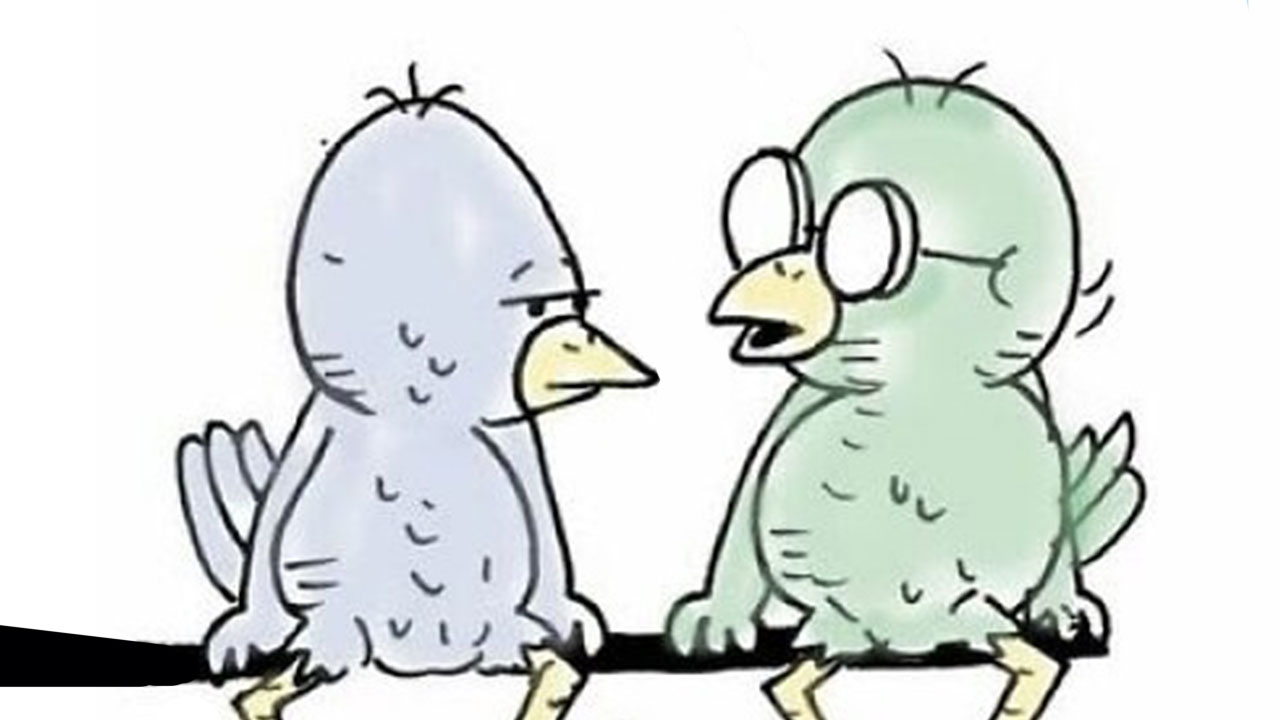 25 Funny Comics By Todd Clark That Take Everyday Life In Unexpected Directions