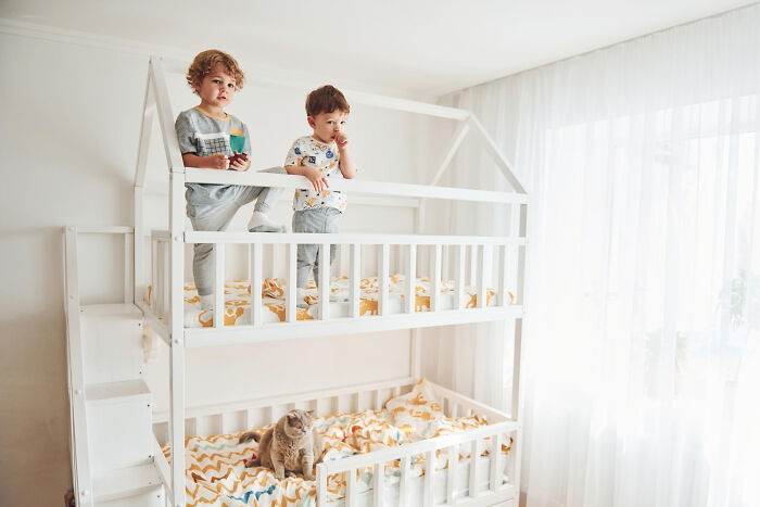 Two young boys on top bunk bed with a cat below, inspired by quick-fire jokes