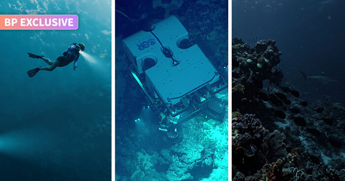 99.999%: This Is How Much Of The Ocean Floor Humans Still Haven’t Seen, And Here’s Why