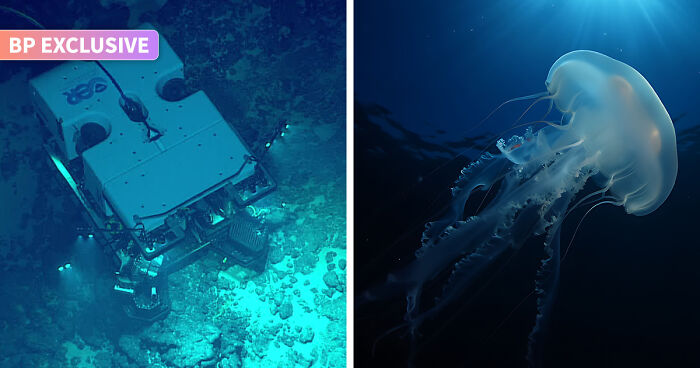 99.999%: This Is How Much Of The Ocean Floor Humans Still Haven’t Seen, And Here’s Why