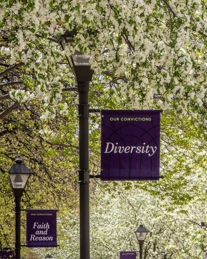 Street lamp banner reading Diversity on uni grounds where student confronted protester Street lamp banner reading Diversity on uni grounds where student confronted protester