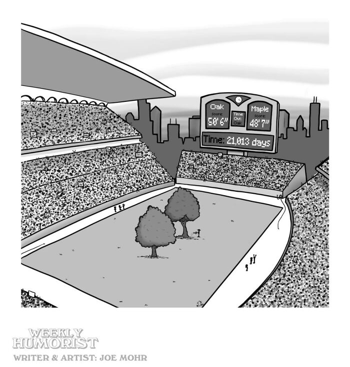 Darkly funny cartoon of tree competition displayed like a sports game scoreboard