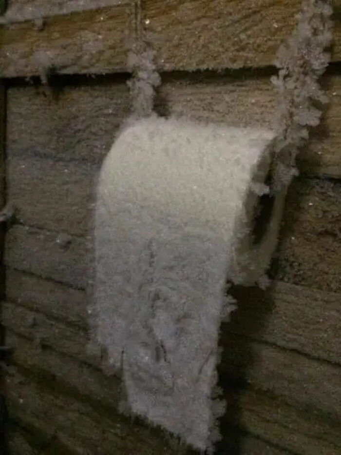 A roll of toilet paper completely covered in thick ice crystals, fitting cursed images.
