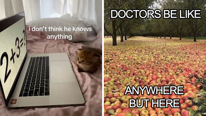 66 Absurd Internet Posts That Somehow Get Weirder The Longer You Look