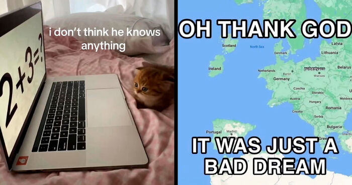 66 Absurd Internet Posts That Somehow Get Weirder The Longer You Look