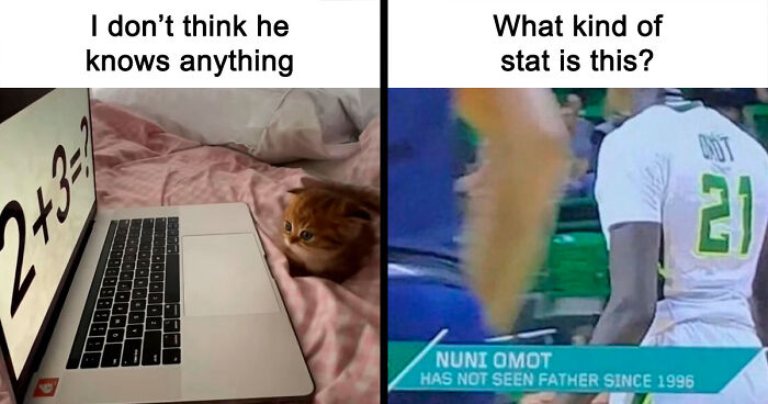 66 Absurd Internet Posts That Somehow Get Weirder The Longer You Look
