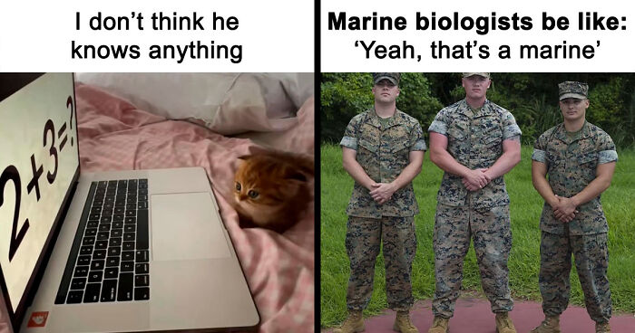 66 Absurd Internet Posts That Somehow Get Weirder The Longer You Look