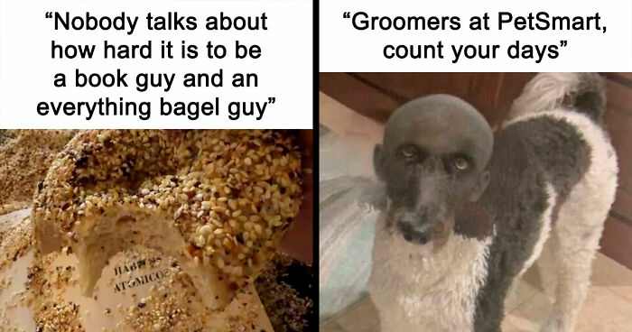 76 Cursed Images That Are Even Weirder Without Any Context