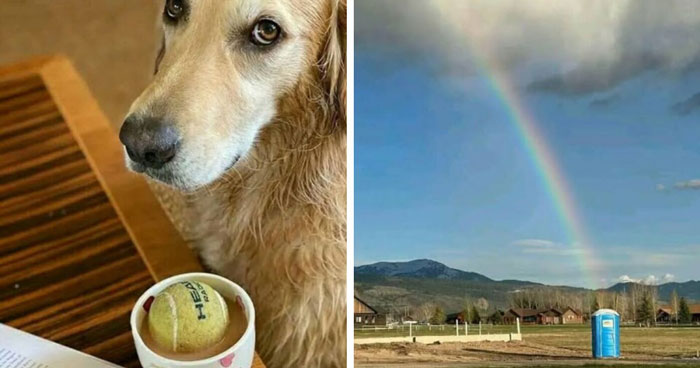 70 Fun, Odd And Interesting Photos That People Needed To Share With The World