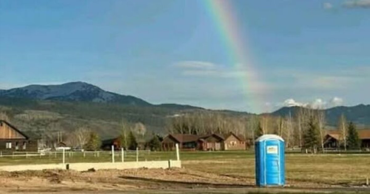 41 Imágenes tan divertidas como disparatadas