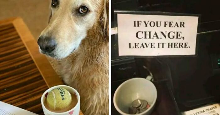 70 Mildly Amusing Photos That Might Bring You Joy