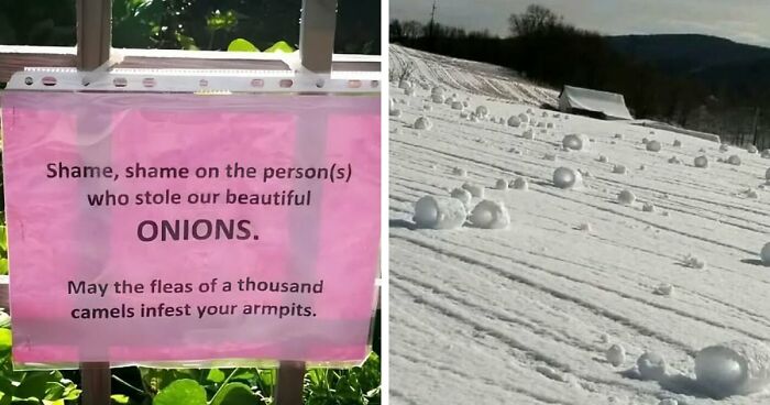 70 Fun, Odd And Interesting Photos That People Needed To Share With The World