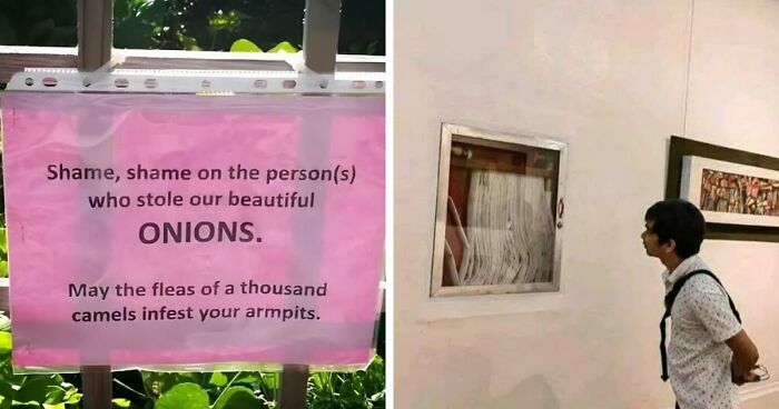 70 Mildly Amusing Photos That Might Bring You Joy