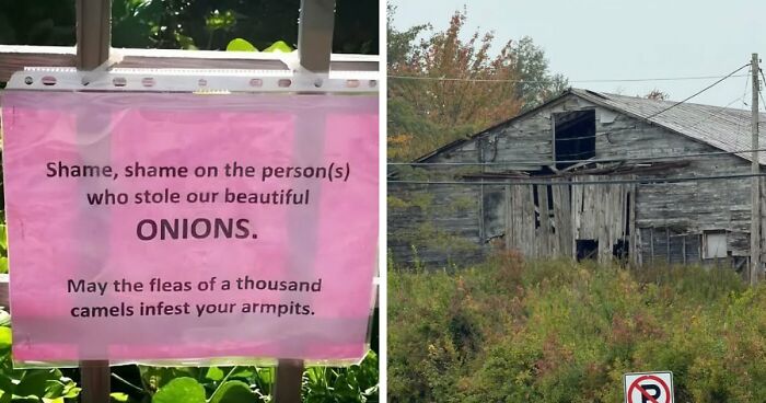70 Mildly Amusing Photos That Might Bring You Joy