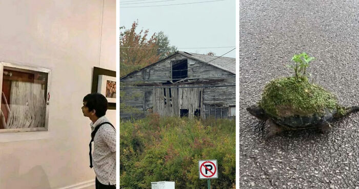 70 Mildly Amusing Photos That Might Bring You Joy