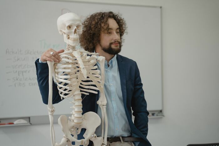 A teacher showing a skeleton model in class, illustrating human body facts.
