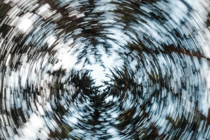 Swirling abstract view looking up into tree canopy illustrating human body facts and brain perception.