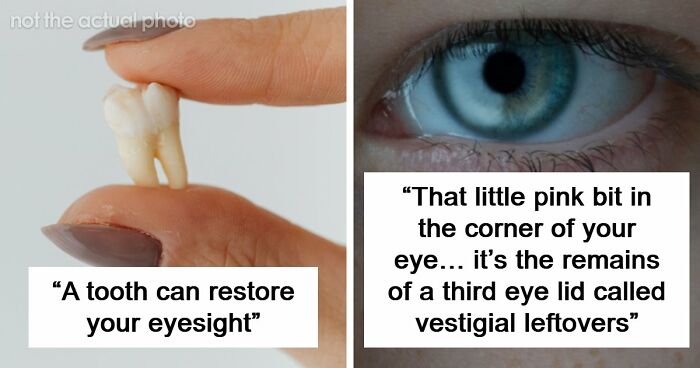 47 Weird And Wonderful Human Body Facts That Prove You Are Far More Fascinating Than You Think
