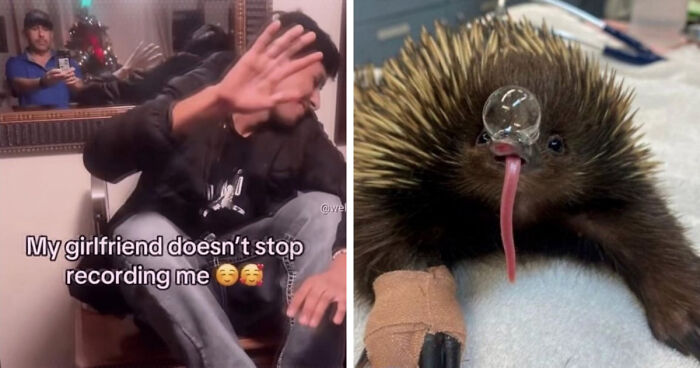 64 Unhinged Internet Memes That Somehow Get Funnier The Less They Make Sense