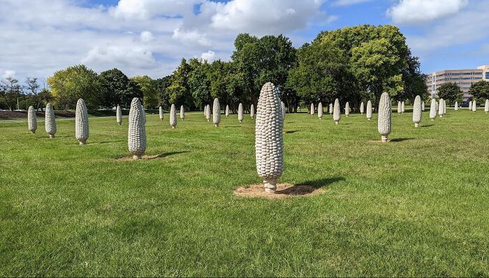 Dozens of concrete corn cob sculptures standing upright in a grassy field. Bizarre public art example.