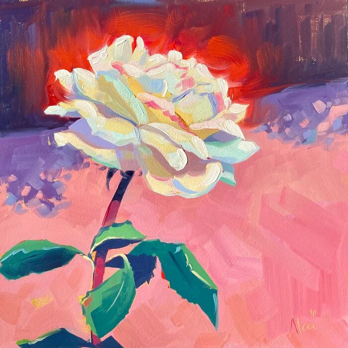 A single white rose on a pink background in Alai Paintings style