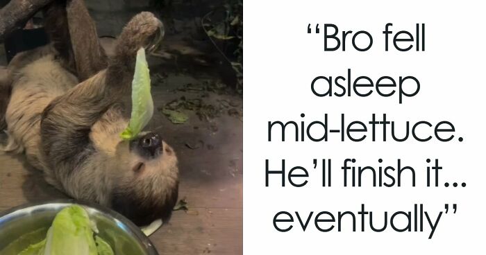 68 Wholesome And Amazing Moments To Prove The World Is Not All Bad