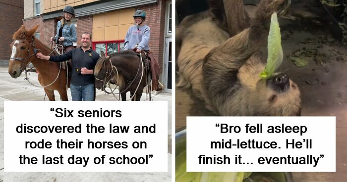68 Of The Most Wholesome Moments That Were Shared On The Internet