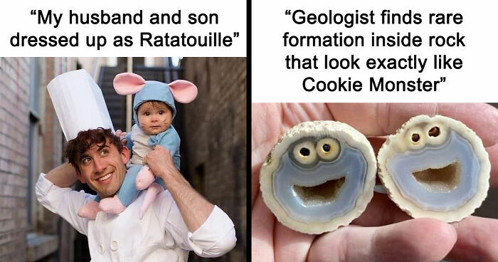 67 Wholesome Memes That Are Funny For All The Right Reasons