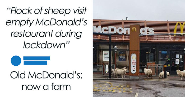 75 Times Someone Replied To A Post So Cleverly That Everyone Forgot What The Original Was About