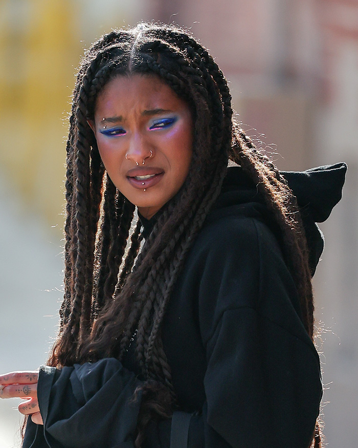 "No Idea What I Just Watched": Will Smith's Daughter Willow Roasted Over Bizarre Behavior During Live Performance "No Idea What I Just Watched": Will Smith's Daughter Willow Roasted Over Bizarre Behavior During Live Performance