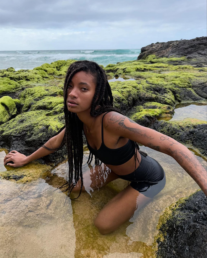 "No Idea What I Just Watched": Will Smith's Daughter Willow Roasted Over Bizarre Behavior During Live Performance "No Idea What I Just Watched": Will Smith's Daughter Willow Roasted Over Bizarre Behavior During Live Performance