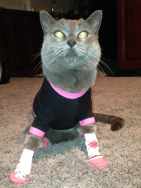 win_socks_n_shirt-6ad873fe7aad2.jpg
