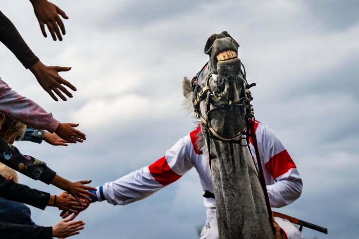 Jockey on a smiling horse greeting crowd with outstretched hands