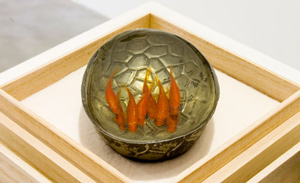 Breathtaking 3D Goldfish Paintings by R. Fukahori
