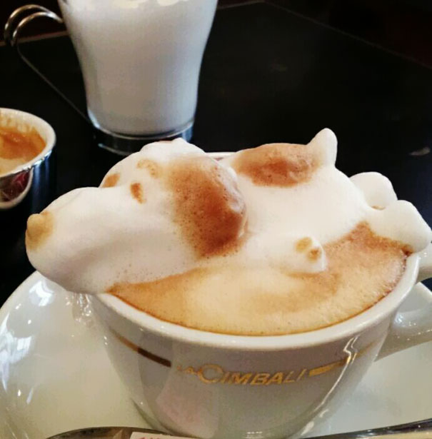 More Incredible 3D Latte Art by Kazuki Yamamoto