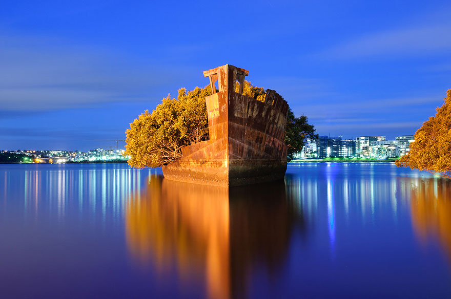 102-Year-Old Ship in Sydney Became A Floating Forest