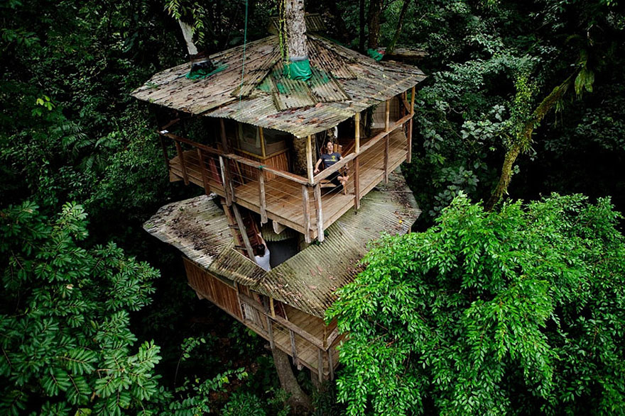 Amazing Treehouses 7