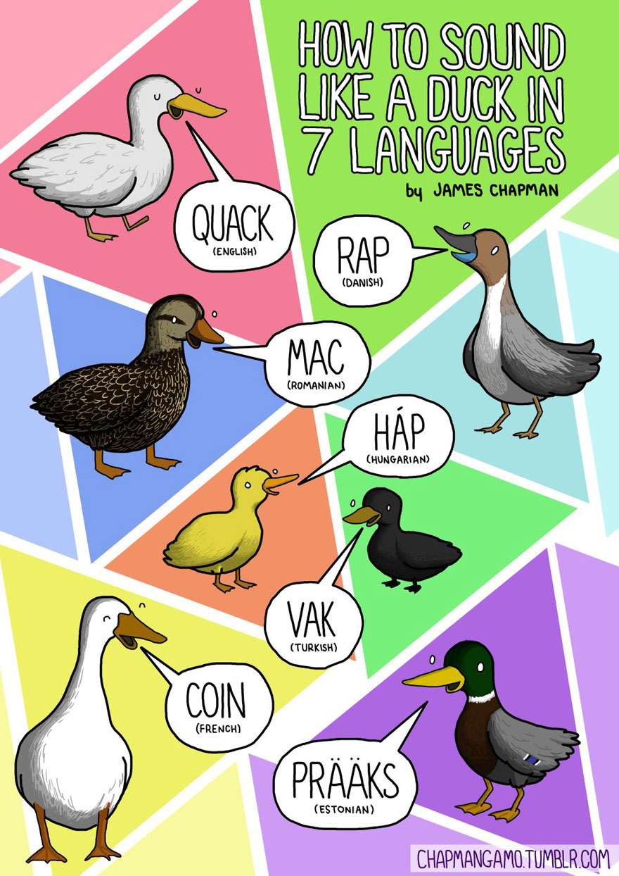 How Do Animals Sound In Different Languages?