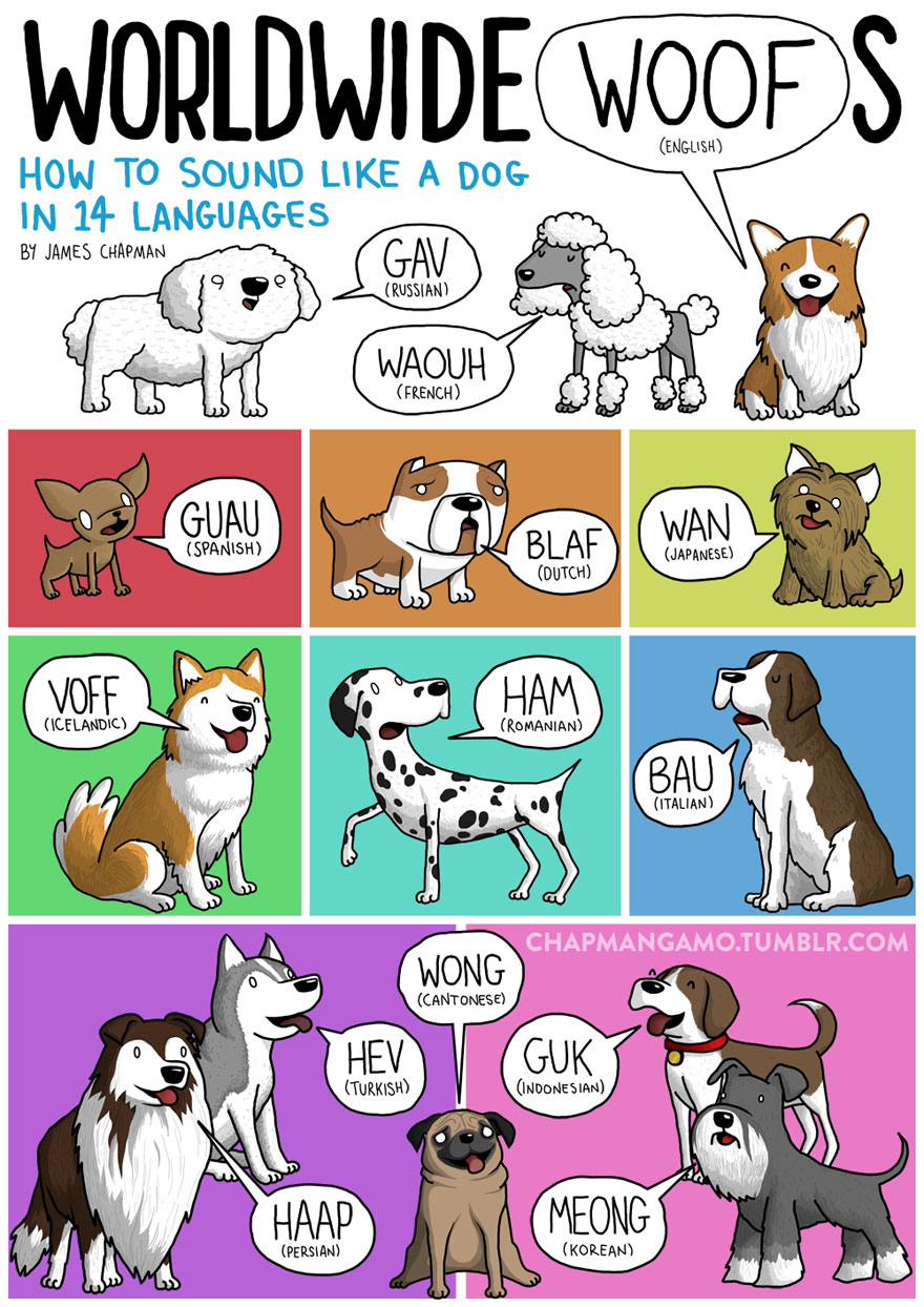 Animal language