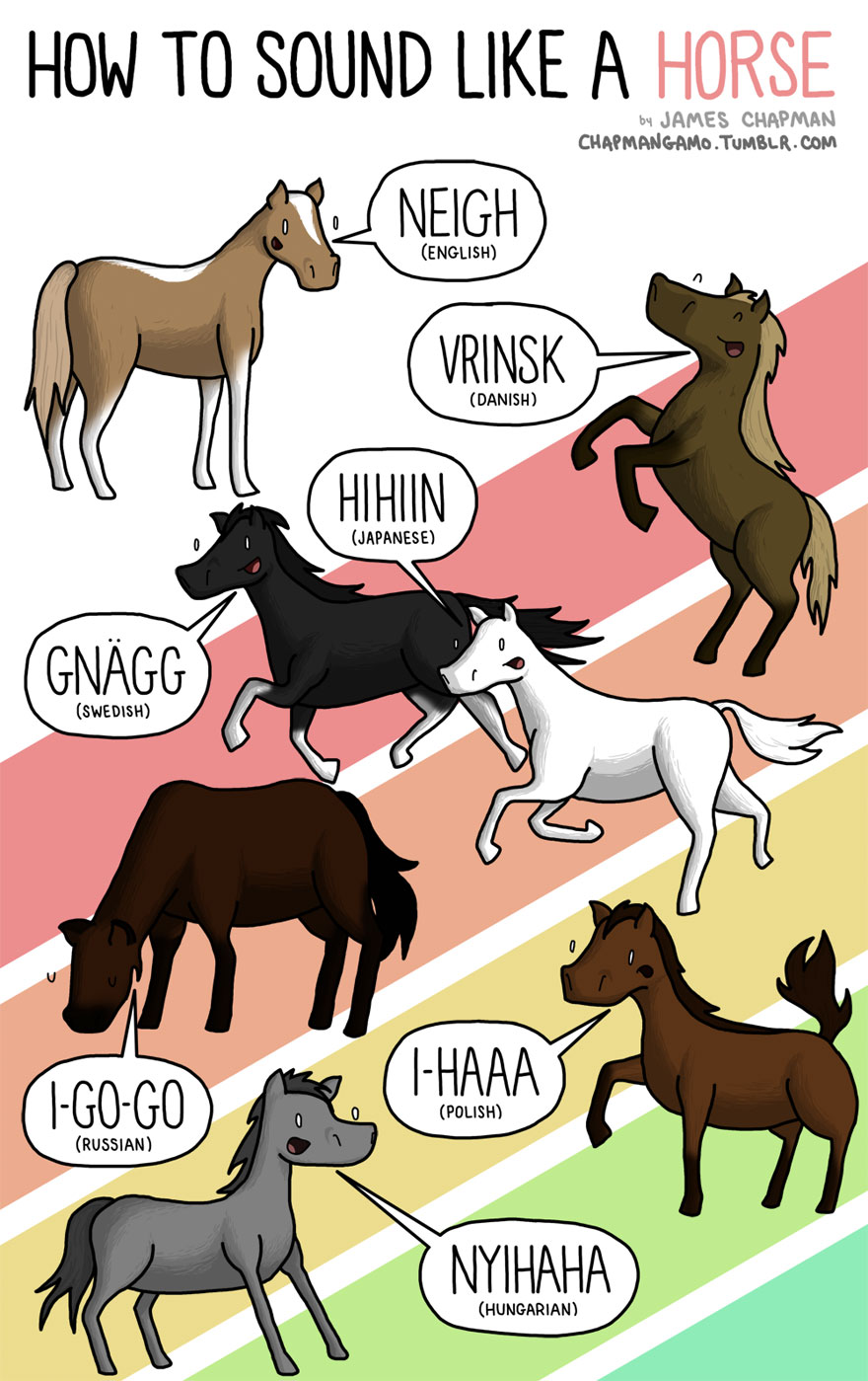 How Do Animals Sound In Different Languages?