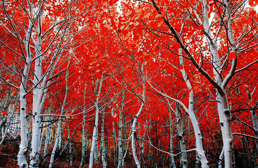 12 Stunning Pictures Celebrating The Beautiful Colors Of Fall