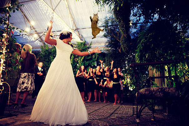 Bride's Bouquets Replaced By Flying Cats In The Latest Wedding Photography Trend